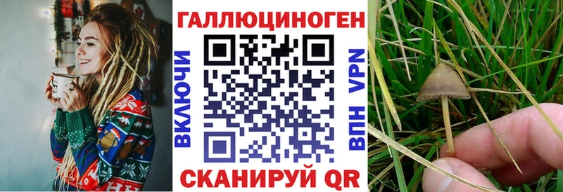 Псилоцибиновые грибы прущие грибы Оса